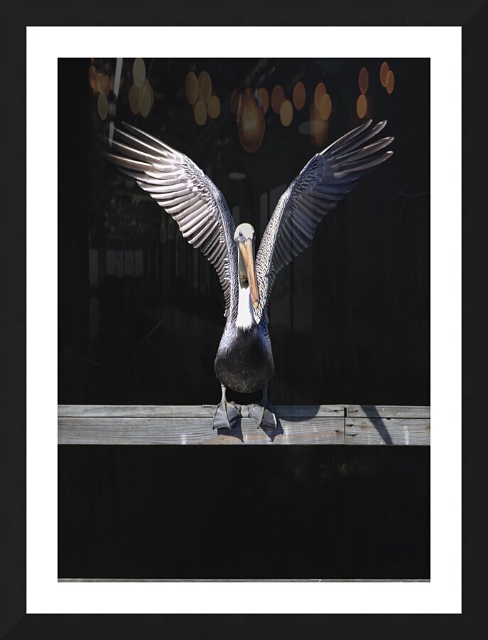 Brown Pelican Hallelujah Picture Frame print