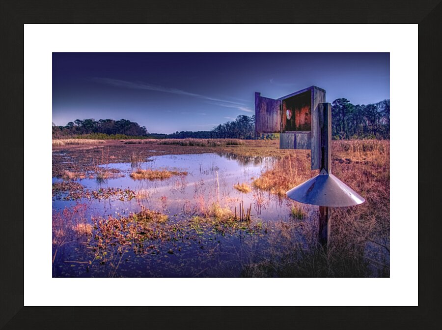 South Carolina Lowland Marsh Picture Frame print