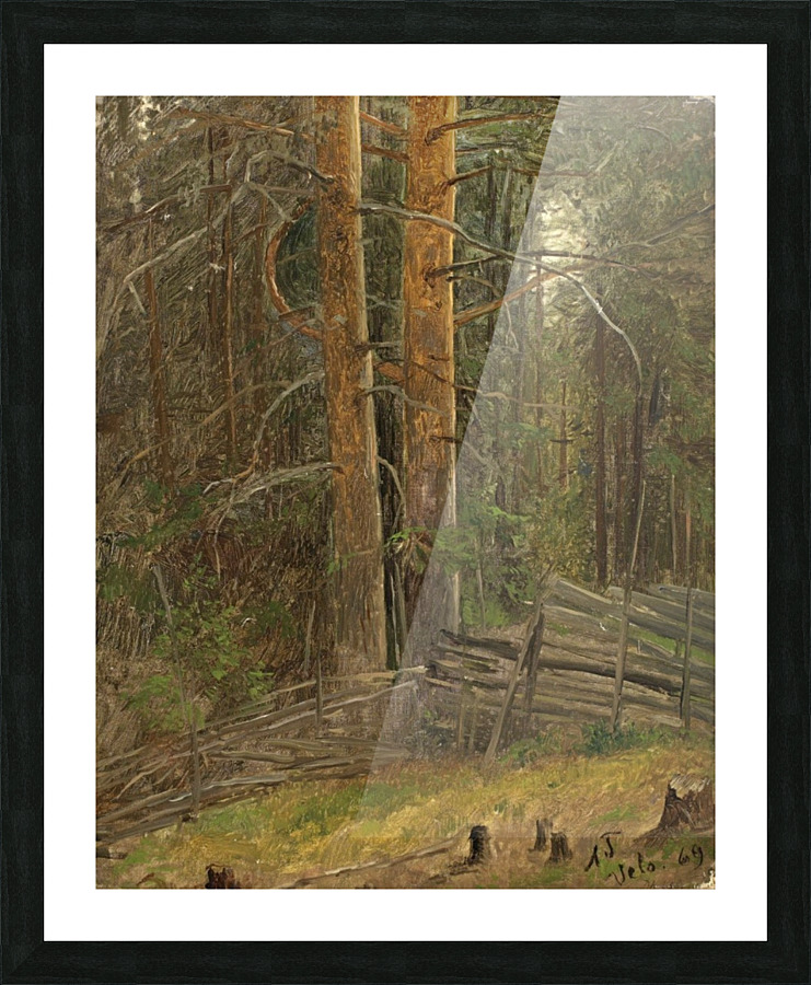 Trees in a forest Picture Frame print