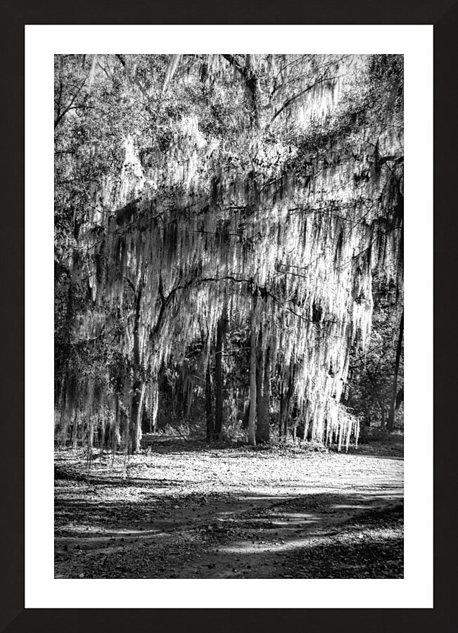 Dressed to the 999s Picture Frame print