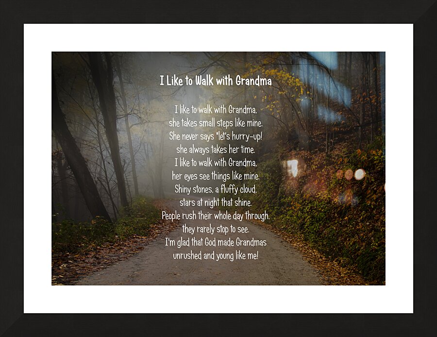 I Like to Walk with Grandma Picture Frame print