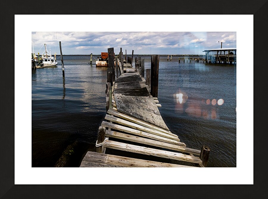 Old Twisted Dock Convolutions Picture Frame print