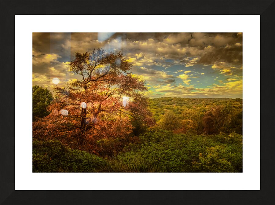 Appalachian Red Tree in Autumn Picture Frame print