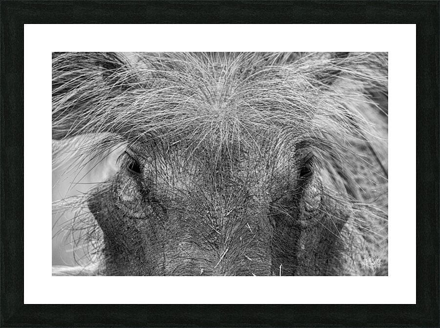 Im Sexy and I Know It Picture Frame print