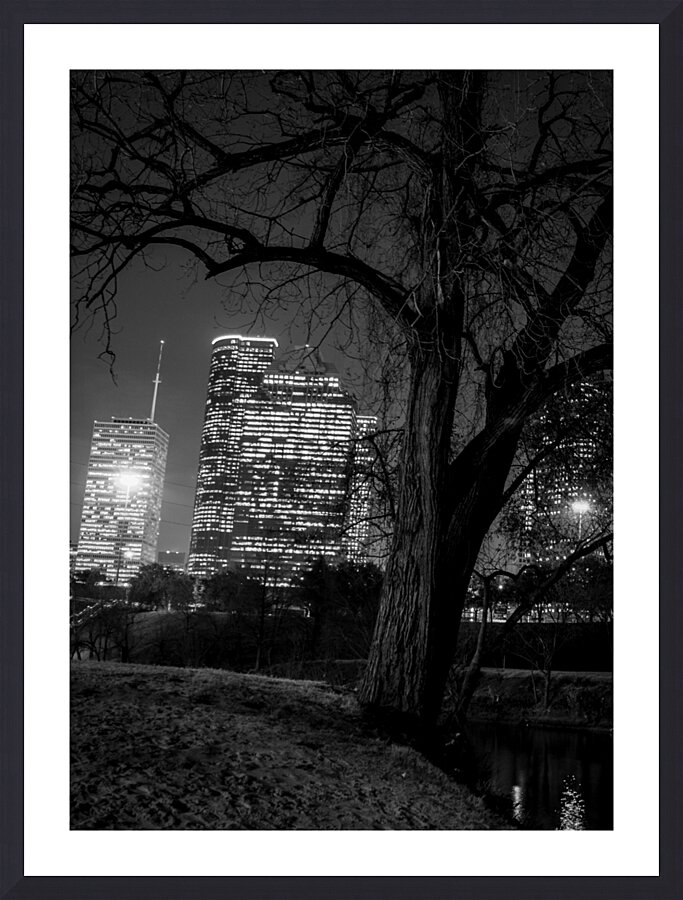 houston skyline in buffalo bayou  vertical 934 Oa Picture Frame print