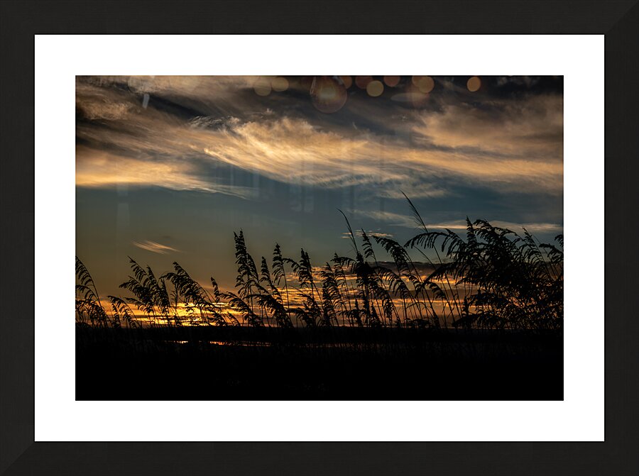Hilton Head Beach Sea Oats Picture Frame print