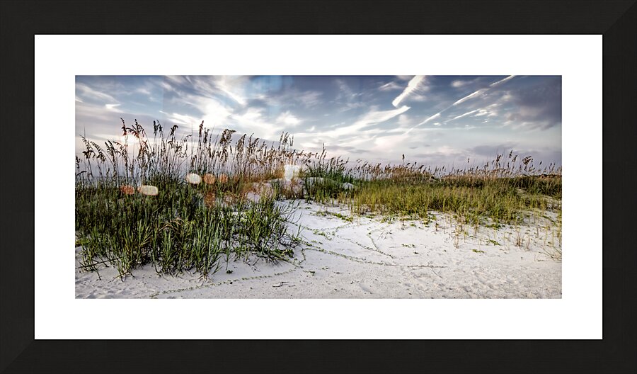 Hilton Head Sand Dunes Picture Frame print