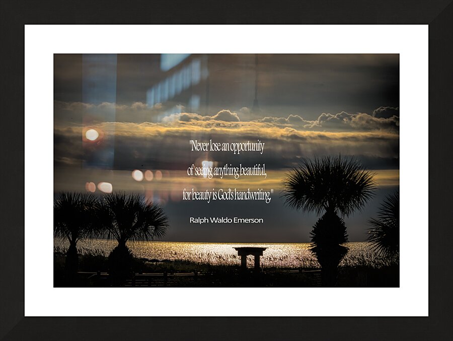 Beauty by Emerson Picture Frame print