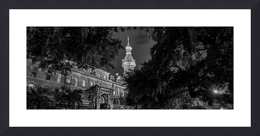 henry b plant museum at night  panoramic 1114 Pla Picture Frame print