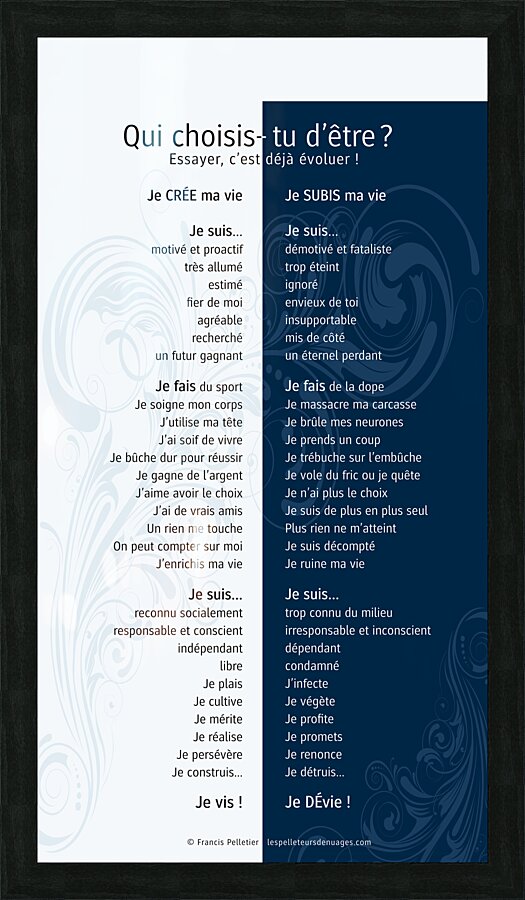 QUI CHOISIS-TU D ETRE Picture Frame print