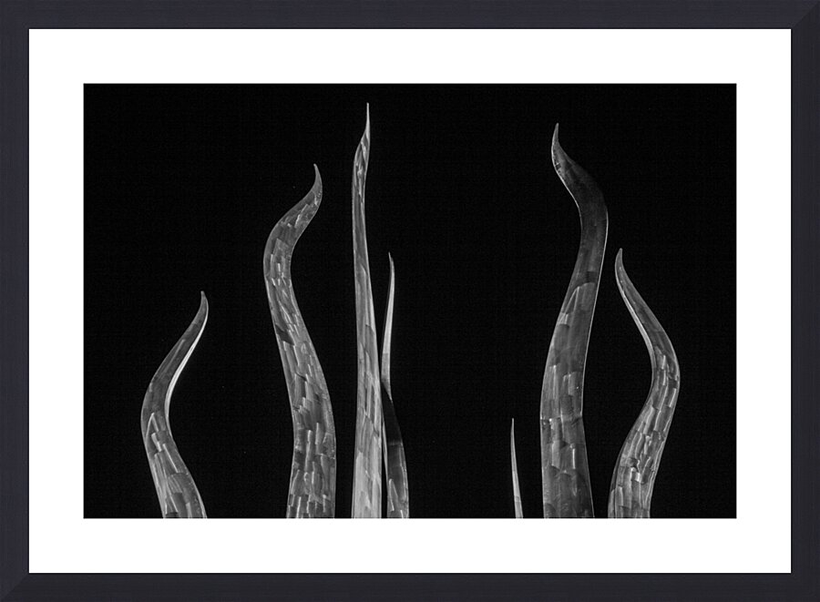 sticks of fire plant park  horizontal 3008 Fire 1 Picture Frame print
