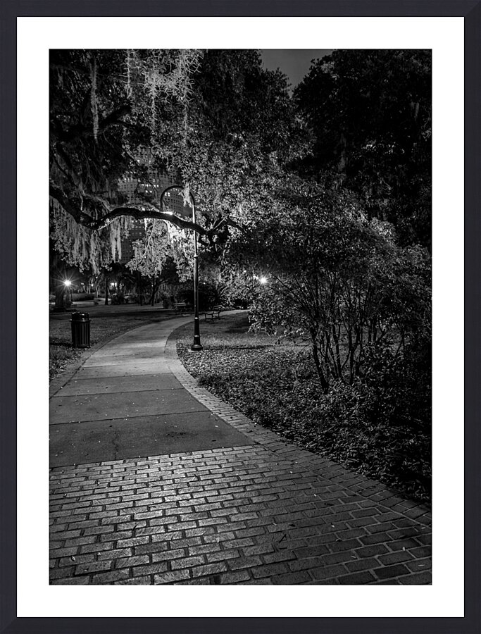 spanish moss plant museum  vertical 1116 Spanish Picture Frame print