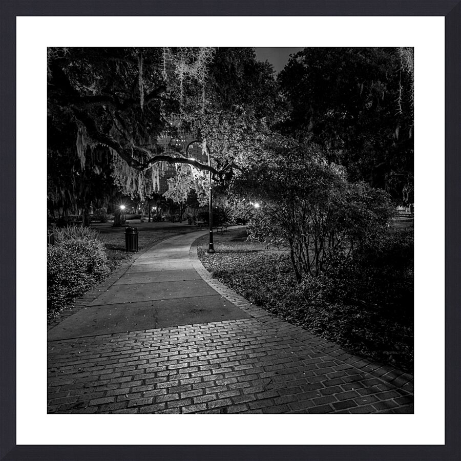 spanish moss plant museum  square 1116 Spanish 13 Picture Frame print