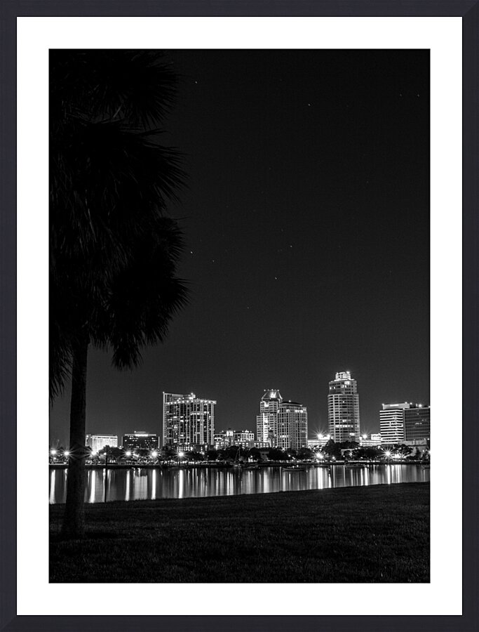 st petersburg skyline vinoy park  vertical 1150 V Picture Frame print