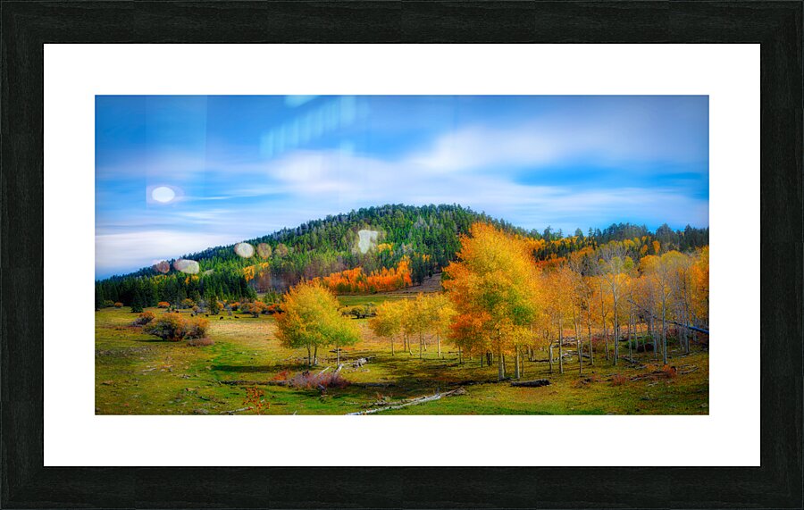 Autumn Symphony: Highway 12s Colorful Canvas Picture Frame print