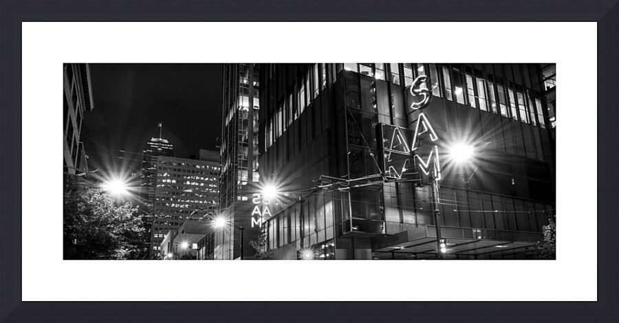 seattle art museum  panoramic 2700 Sam 13k Picture Frame print