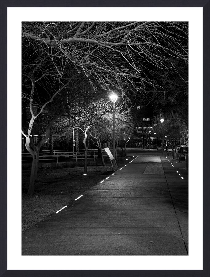 lit path near phoenix central station  vertical 1 Picture Frame print