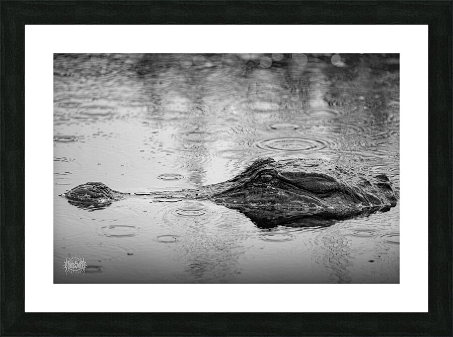 Whos the Real Villian Picture Frame print