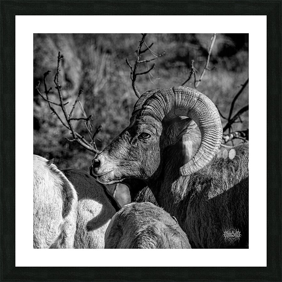 The Night Time is the Right Time Picture Frame print