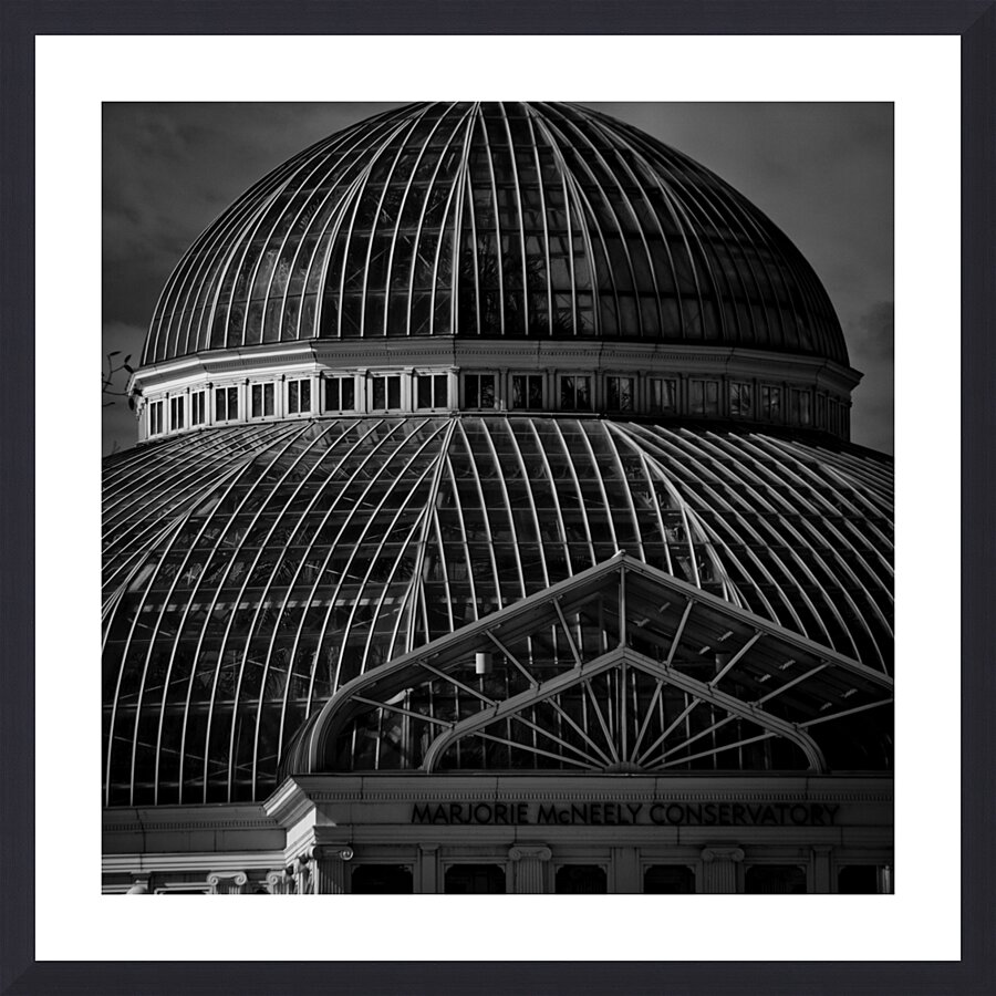 marjorie mcneely conservatory  square 1729 Marjor Picture Frame print