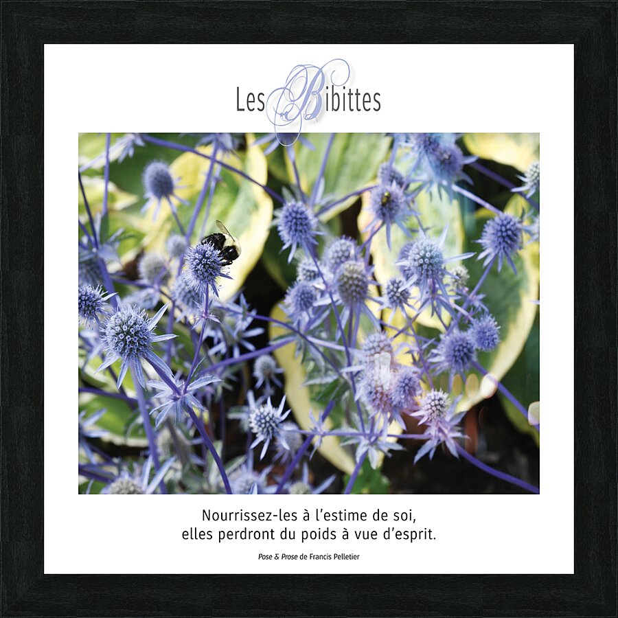 LES BIBITTES 6 Picture Frame print