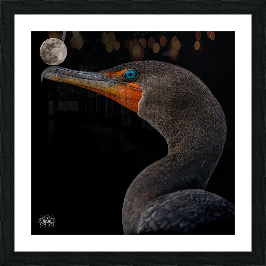 It s Called Balance Picture Frame print