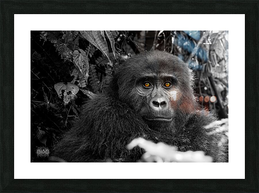 We Are Here Now Picture Frame print