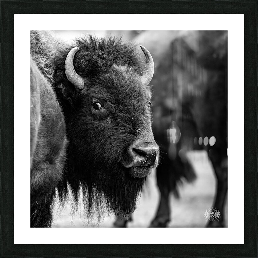 Look Back At It Picture Frame print