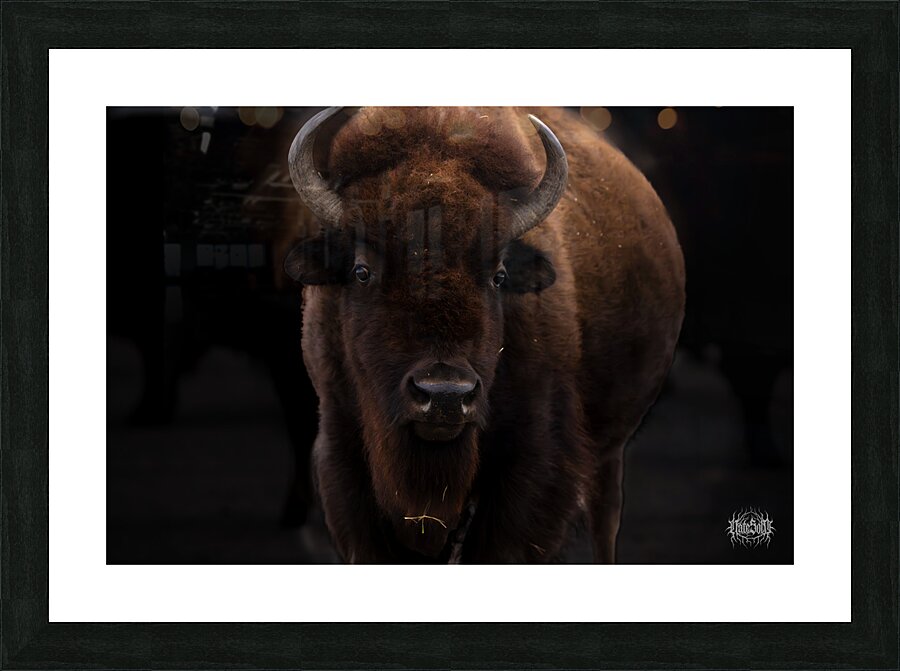 Where I Roam Picture Frame print