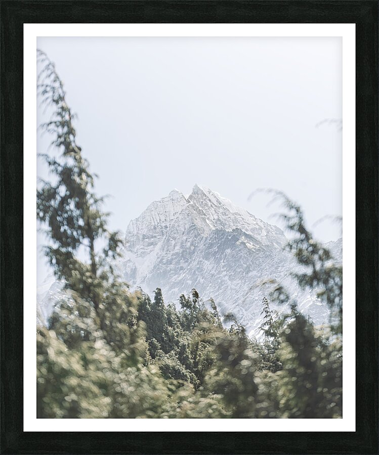  VOP1498 Picture Frame print