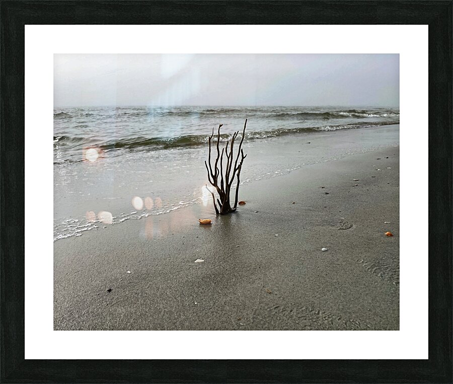 Holden Beach Foggy Morning Picture Frame print