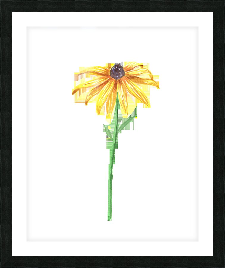 Watercolor Flower Minimalism PNG 3 Picture Frame print
