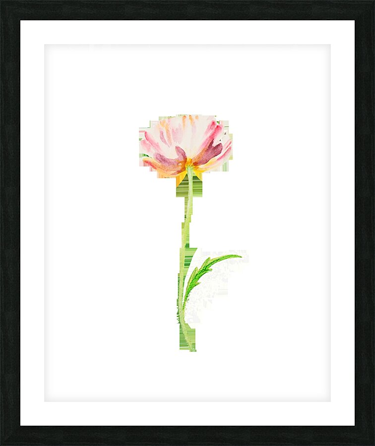 Watercolor Flower Minimalism PNG 13 Picture Frame print