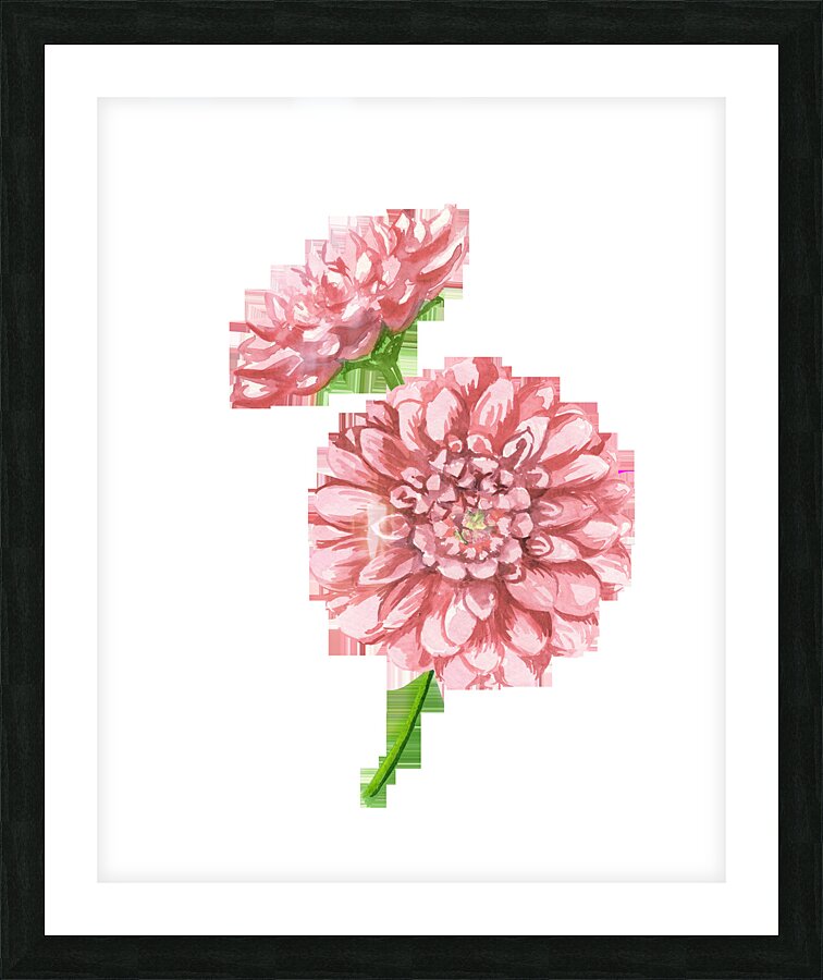 Watercolor Flower Minimalism PNG 20 Picture Frame print