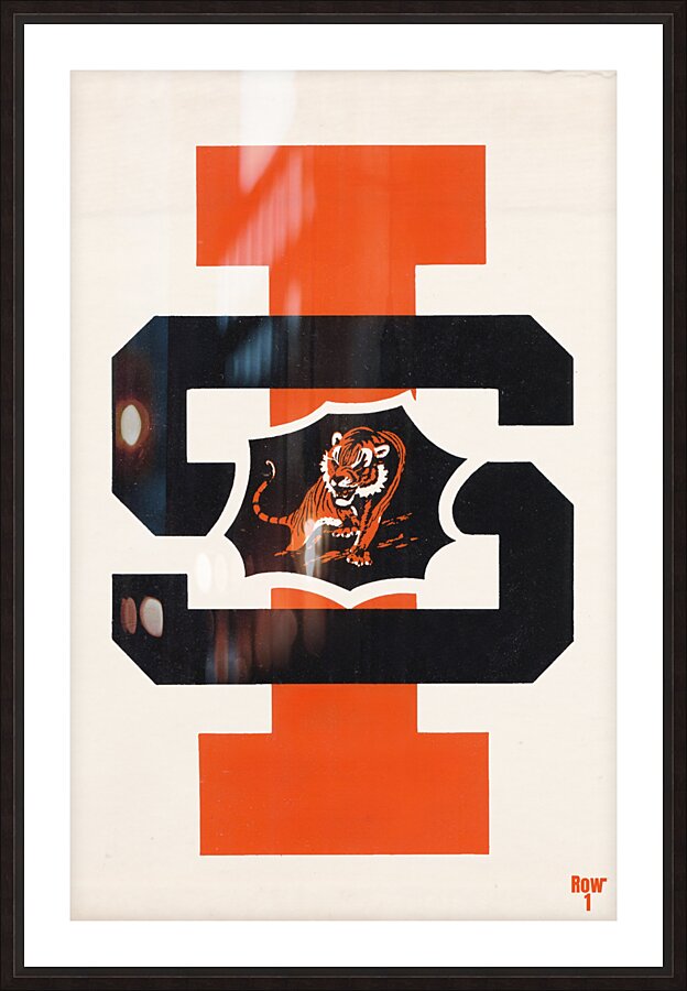 1960s idaho state bengals art  Picture Frame print