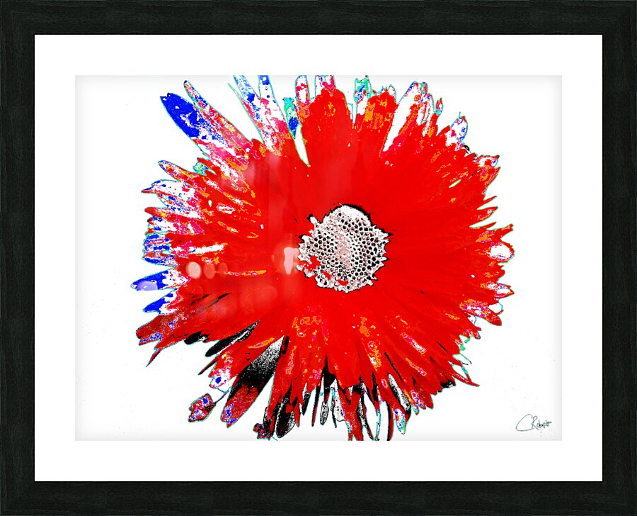 Lighter   Distressed Dasiy on  Abstract Background Picture Frame print