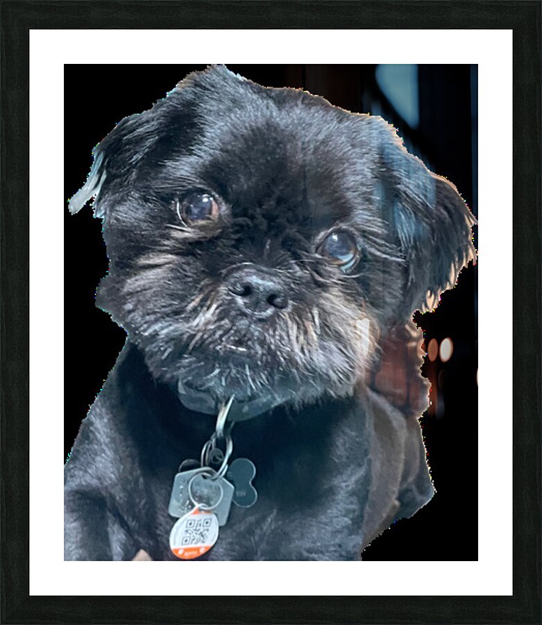 Ash Without Background Picture Frame print