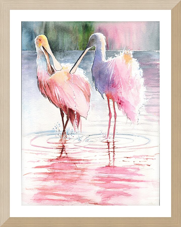 Spoonbills in Florida  Framed Print Print