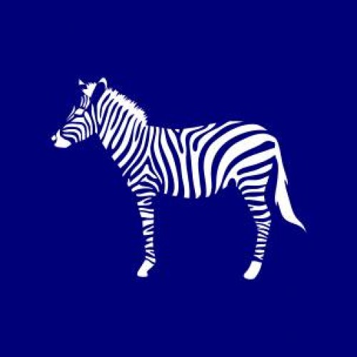 actionzebra