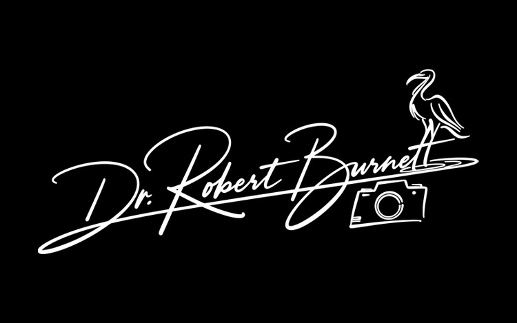 Robert Burnett