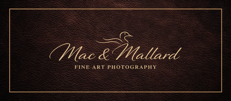 Mac   Mallard