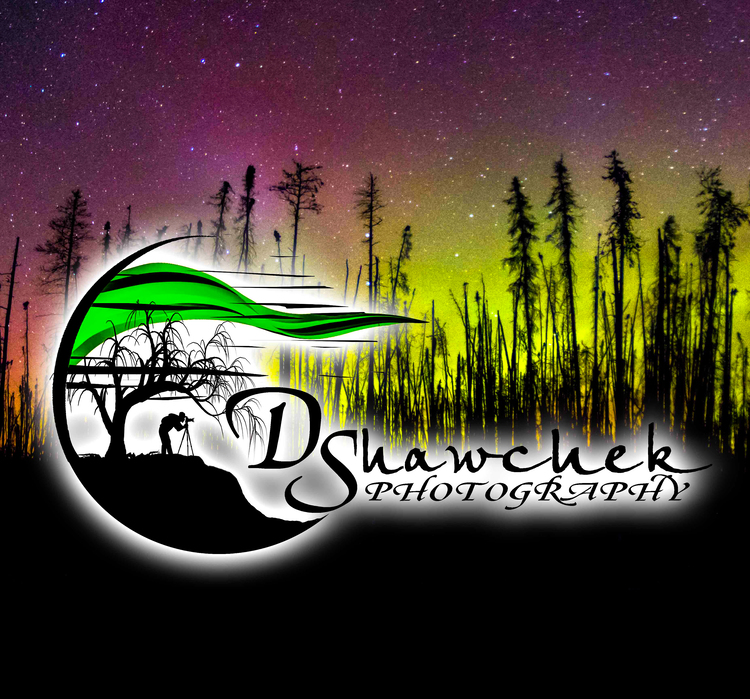 D Shawchek Photography