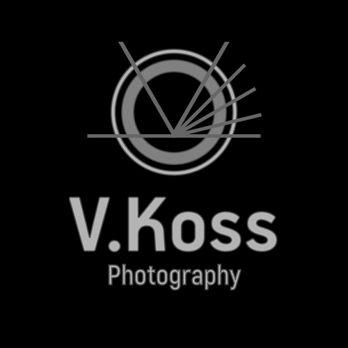 Vladimir Koss