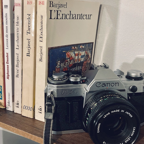 L Enchanteur