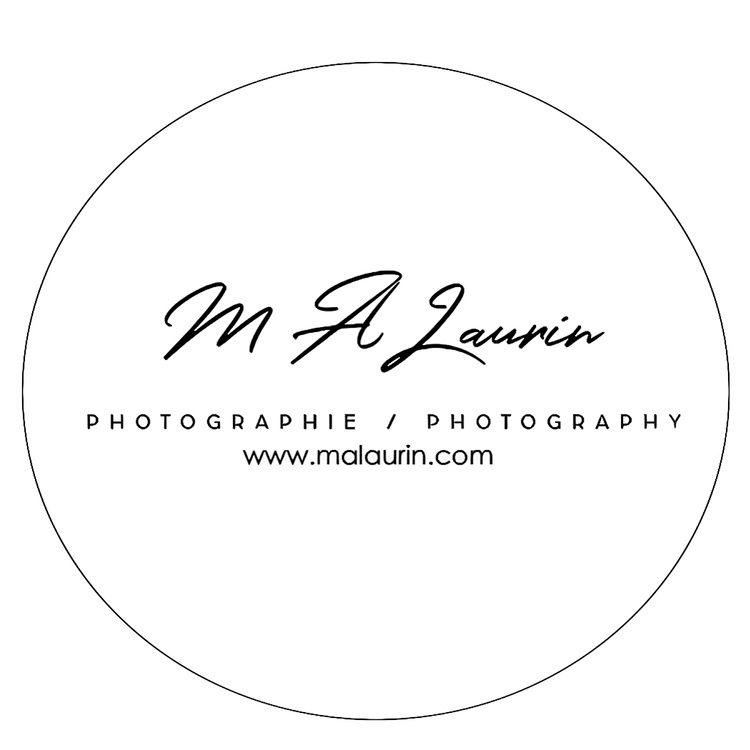 Marc Andre Laurin