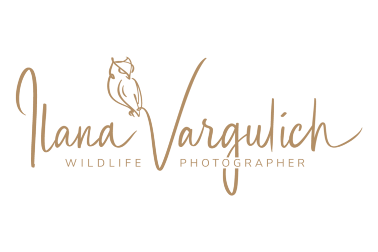 Ilana Vargulich