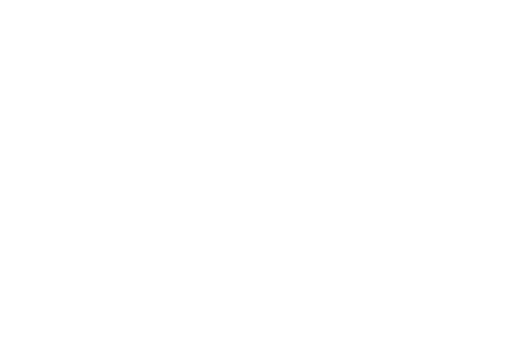Quixotic Studio LLC