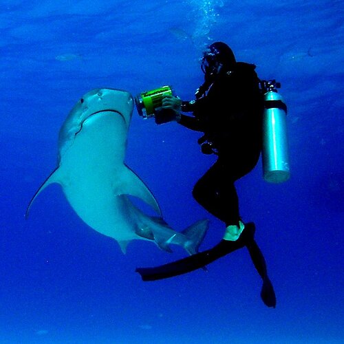 Captain Rob Photography