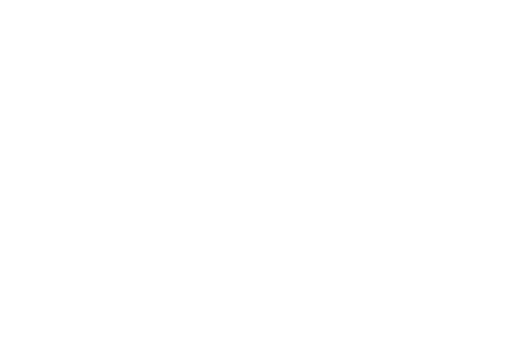 D Robert Franz