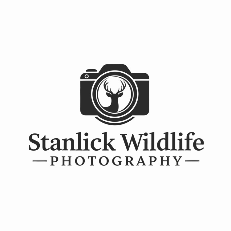 Robert Stanlick